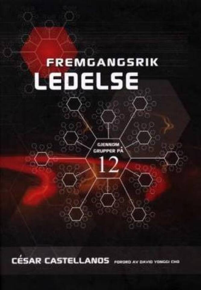 Fremgangsrik ledelse