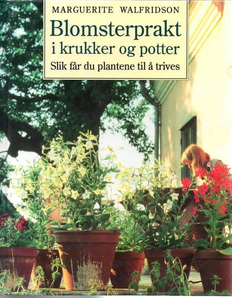 Blomsterprakt i krukker og potter – Slik får du plantene til å trives