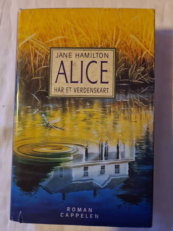 Alice har et verdenskart