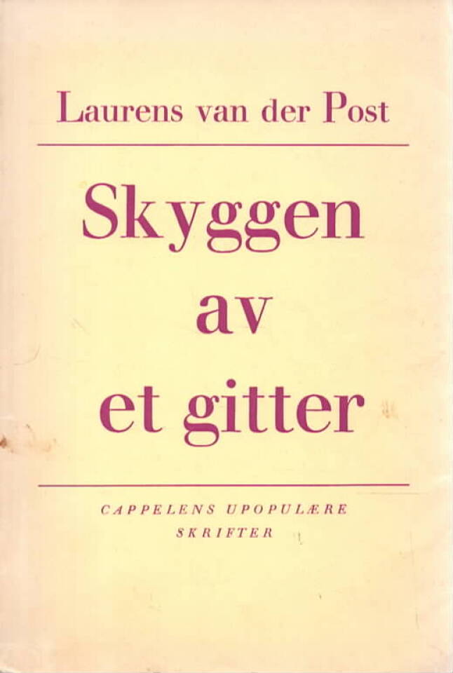 Skyggen av et gitter