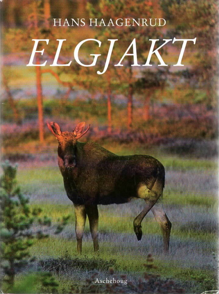 Elgjakt 