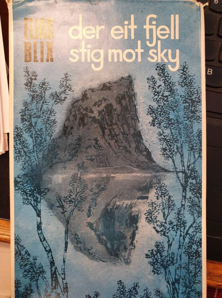 der eit fjell stig mot sky