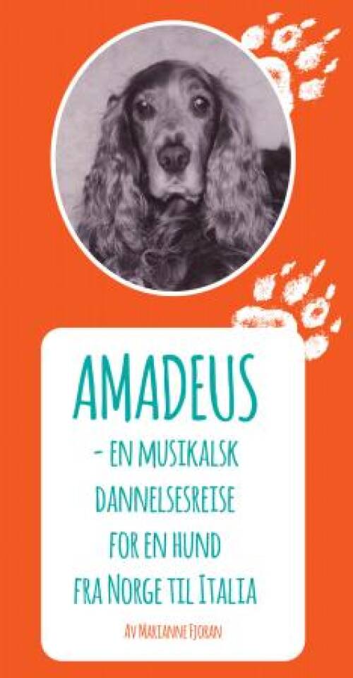 Amadeus - en musikalsk dannelsesreise for en hund fra Norge til Italia