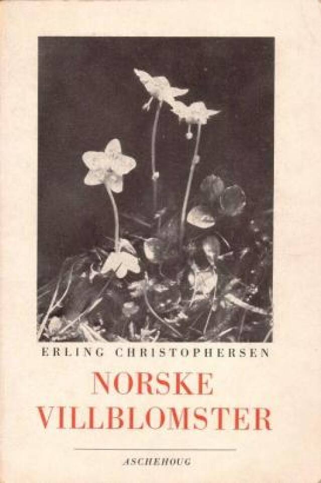 Norske Villblomster