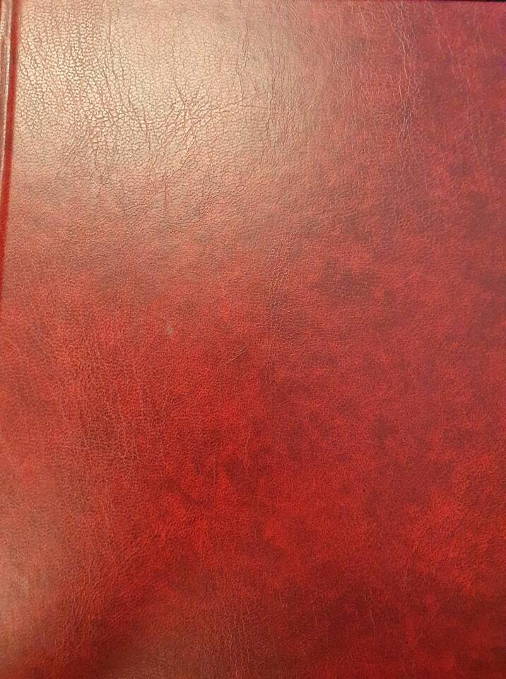 RTB Fra bygderute til trafikkselskap.