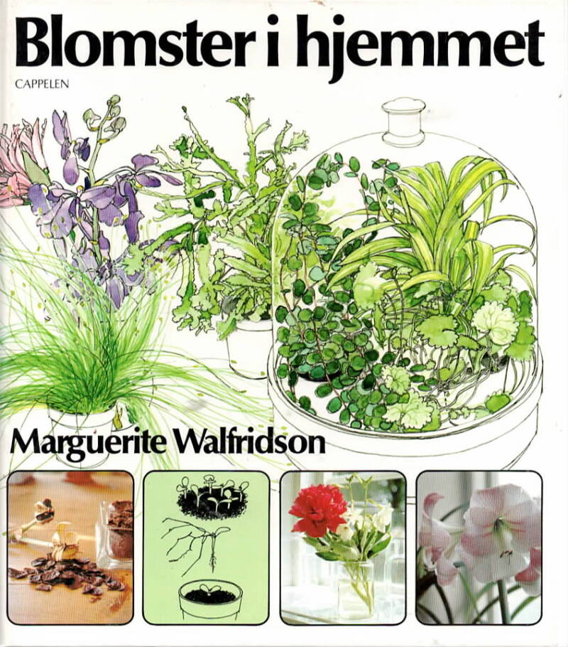 Blomster i hjemmet