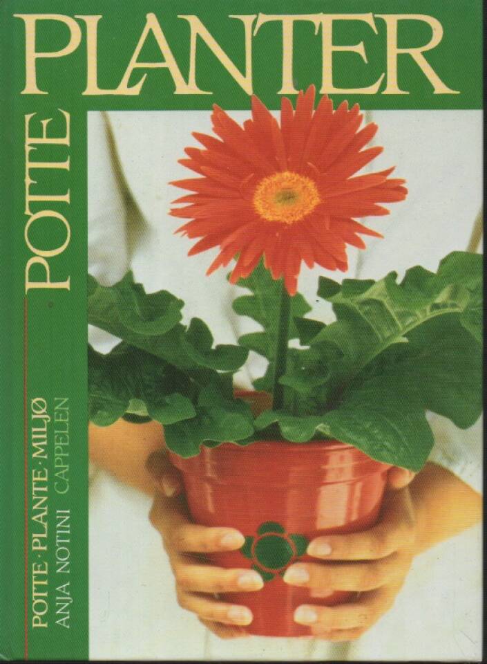 Potteplanter – potteplante-miljø