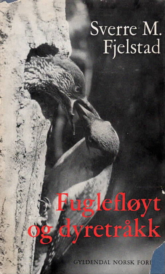 Fuglefløyt og dyretråkk