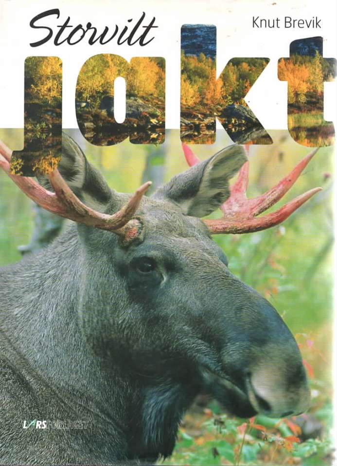 Storviltjakt