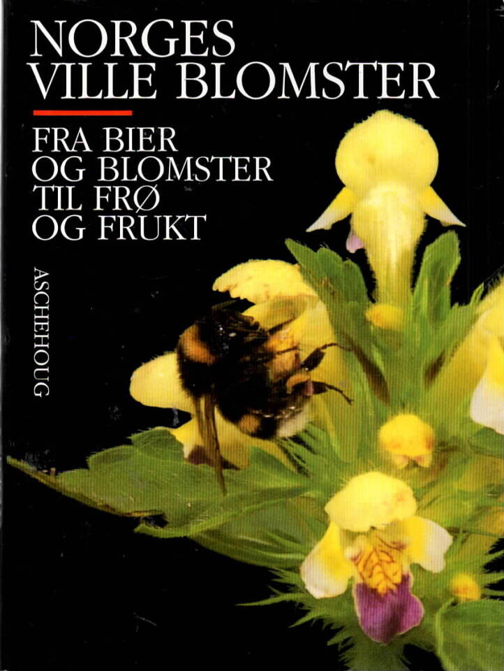 Norges ville blomster – Fra bier og blomster til frø og frukt