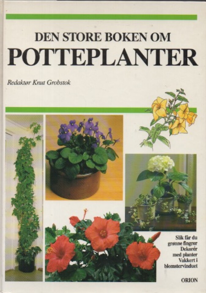 Den store boken om potteplanter