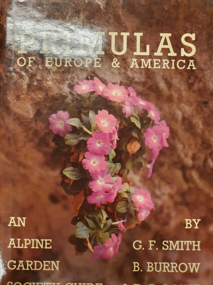 Primulas of Europa & America