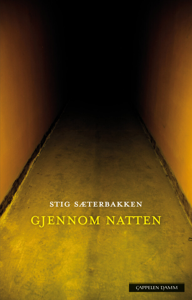 Gjennom natten