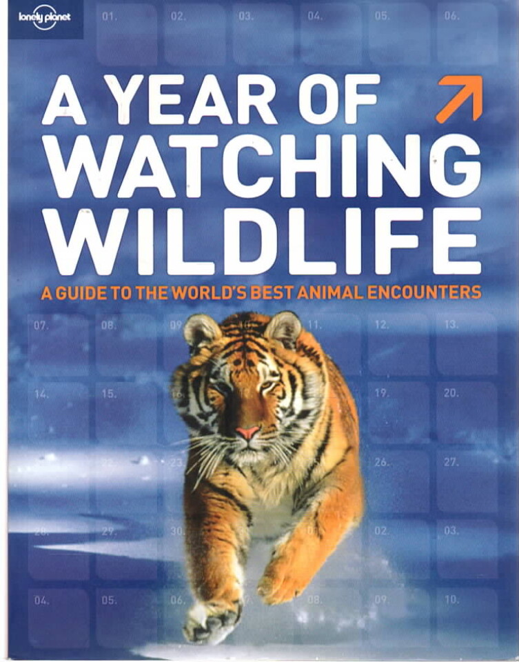 A Year Watching wildlife – a guide to the worlds best animal encounters