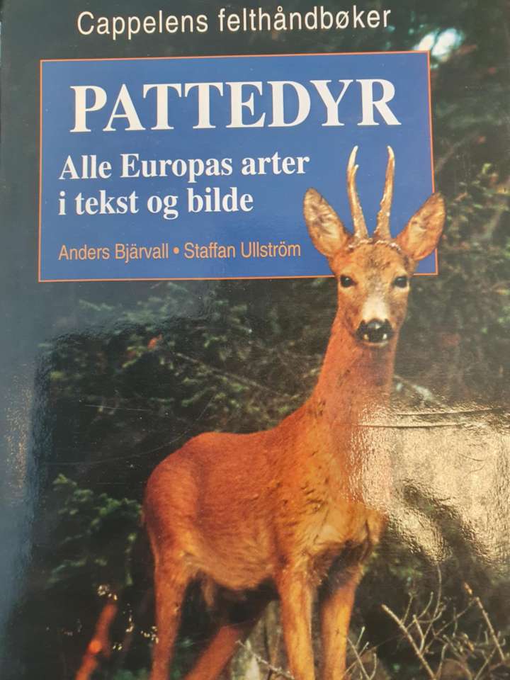 Pattedyr - Alle Europas arter i tekst og bilde