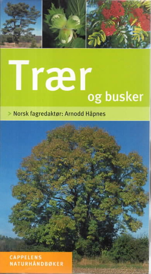 Trær og busker