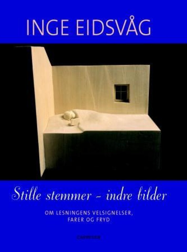 Stille stemmer - indre bilder