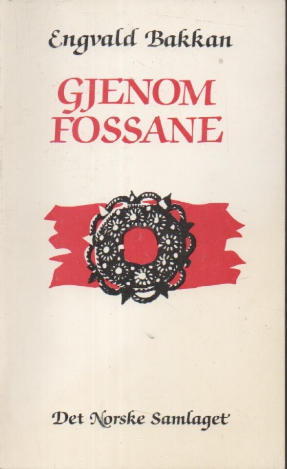 Gjennom fossane