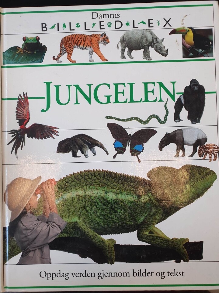 Jungelen