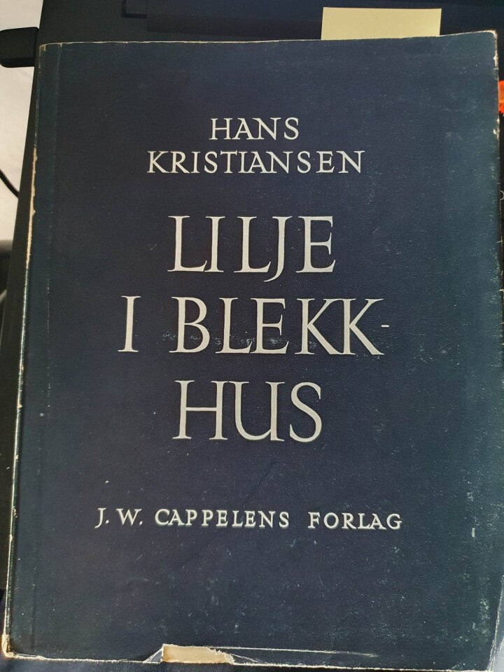 Lilje i Blekkhus