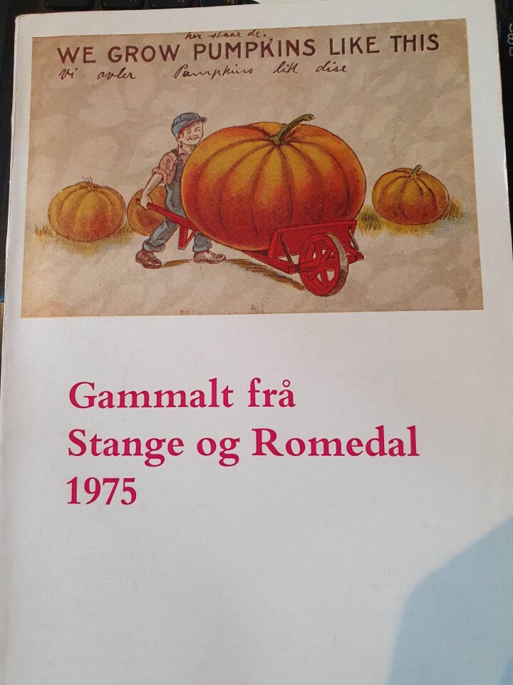 Gammalt frå Stange og Romedal 1975