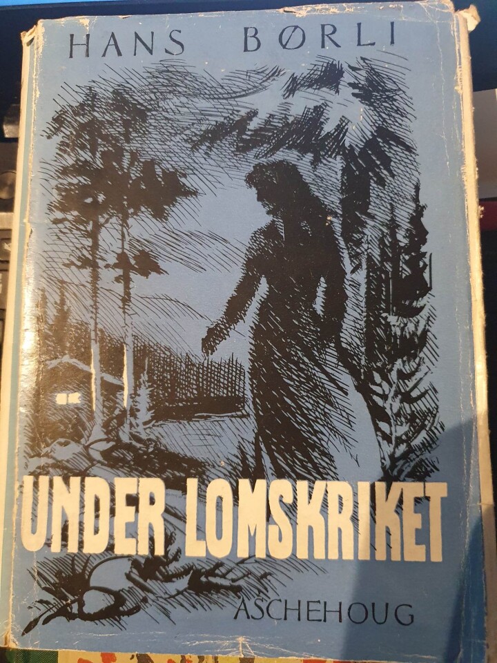 Under Lomskriket