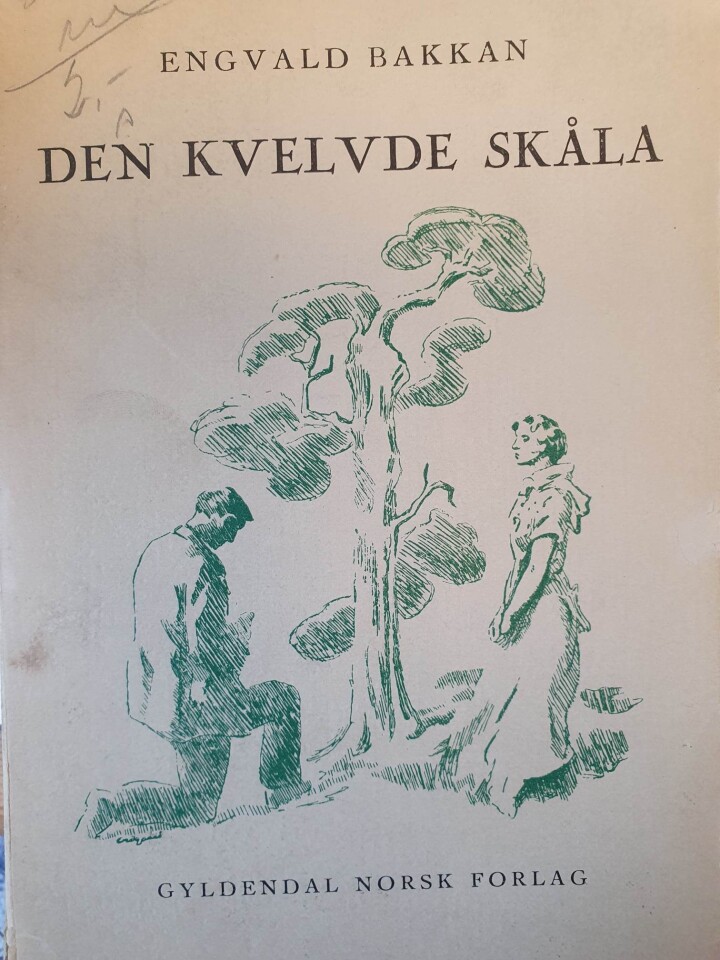 Den Kvelvde Skåla