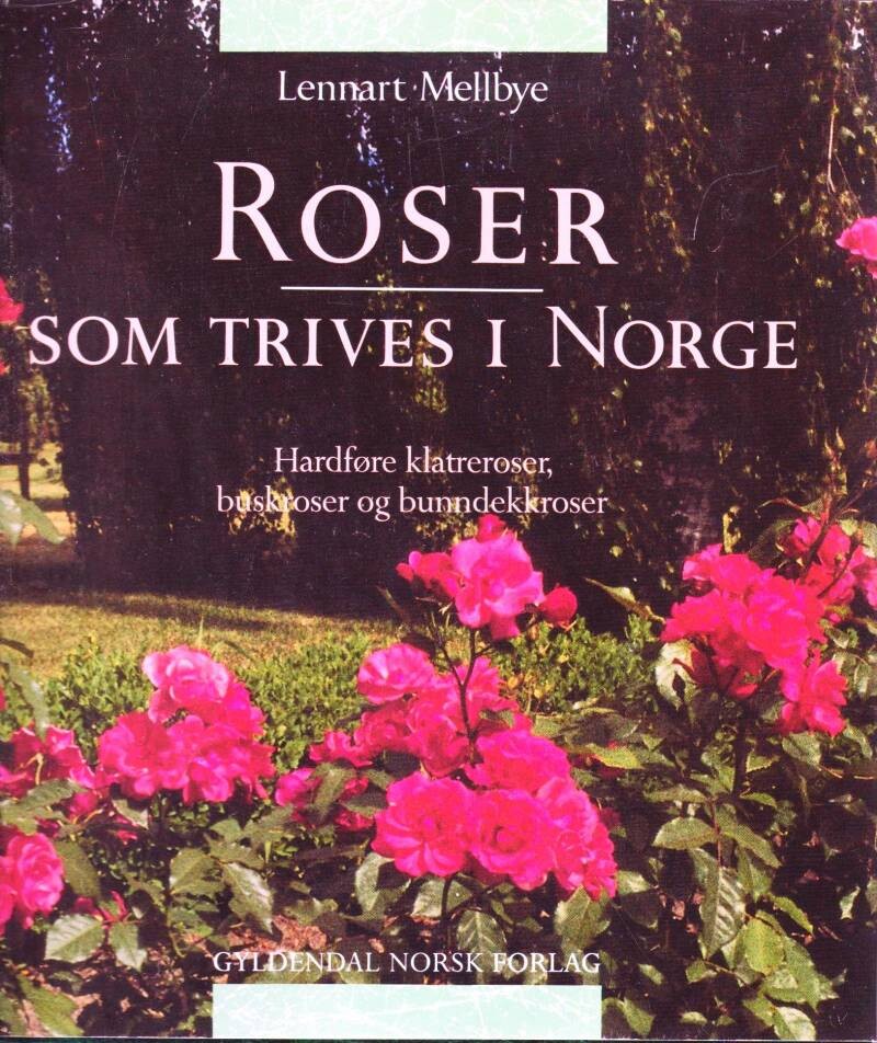 Roser som trives i Norge
