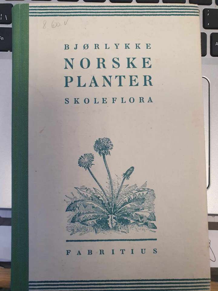 Norske planter