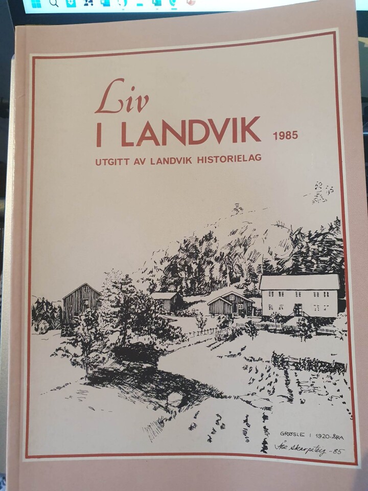 Liv i Landvik 1985