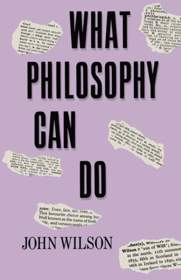 WHAT PHILOSOPHY CAN DO