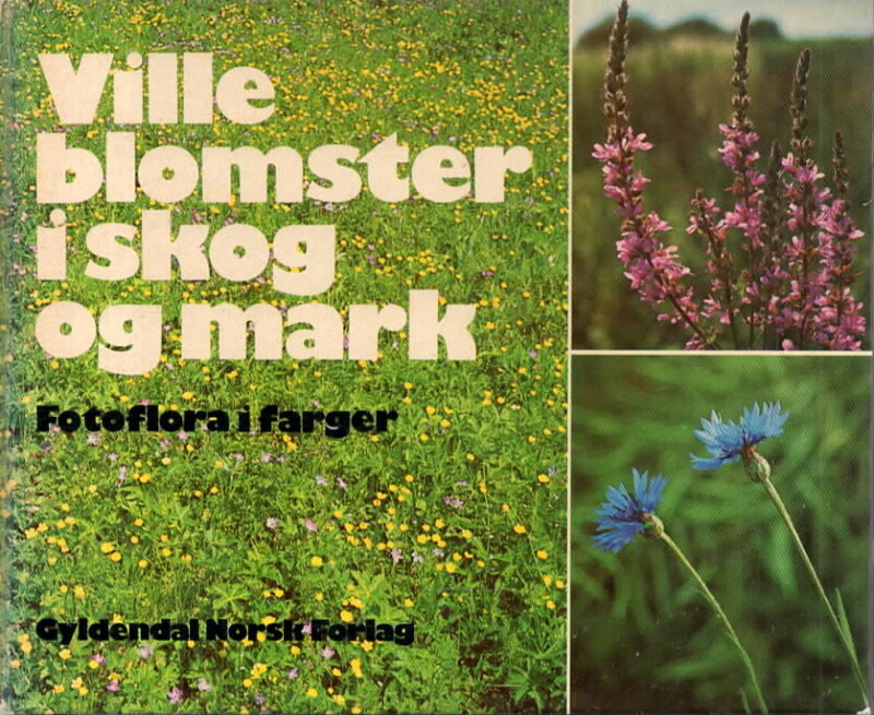 Ville blomster i skog og mark – Fotoflora i farger