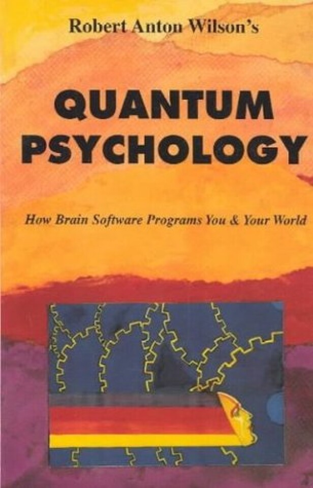 QUANTUM PSYCHOLOGY