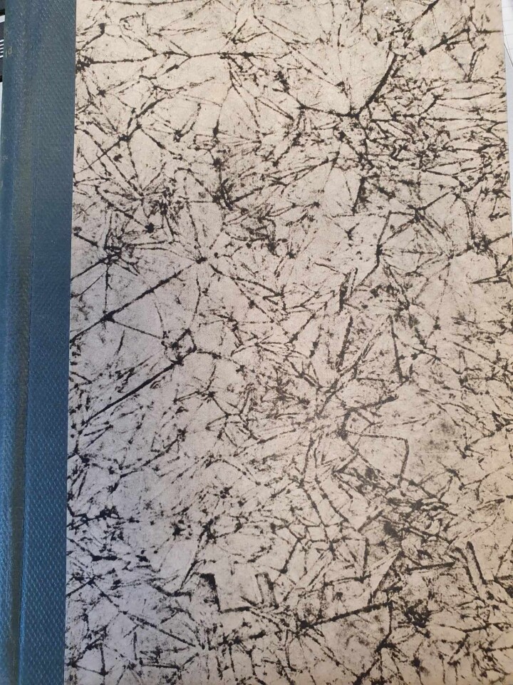 På vakt i Gudbrandsdalen april 1940