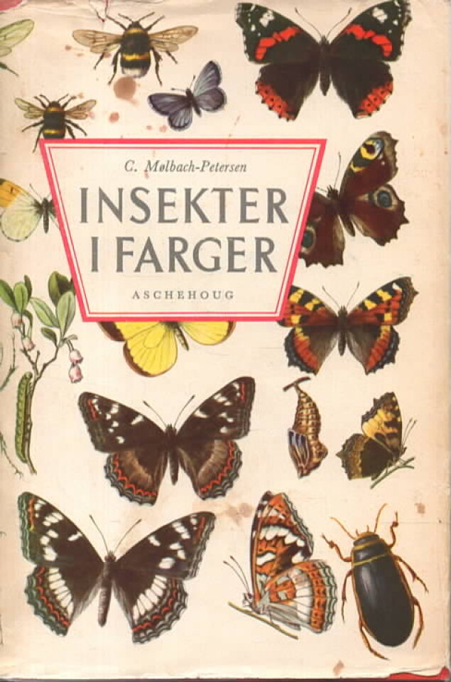 Insekter i farger