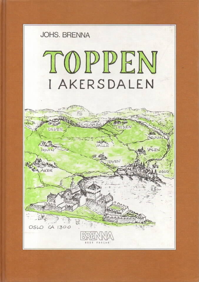 Toppen i Akerselven 