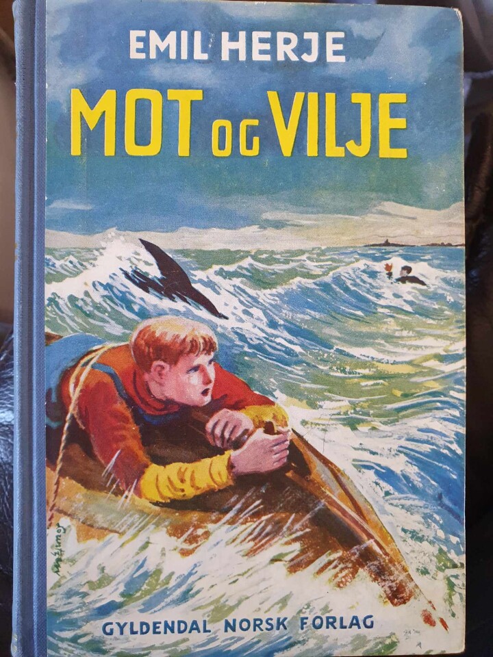 Mot og vilje