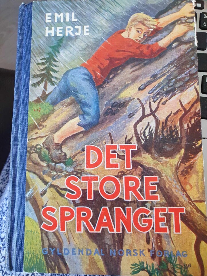 Det store spranget