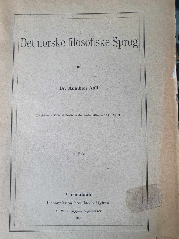 Det norske filosofiske Sprog