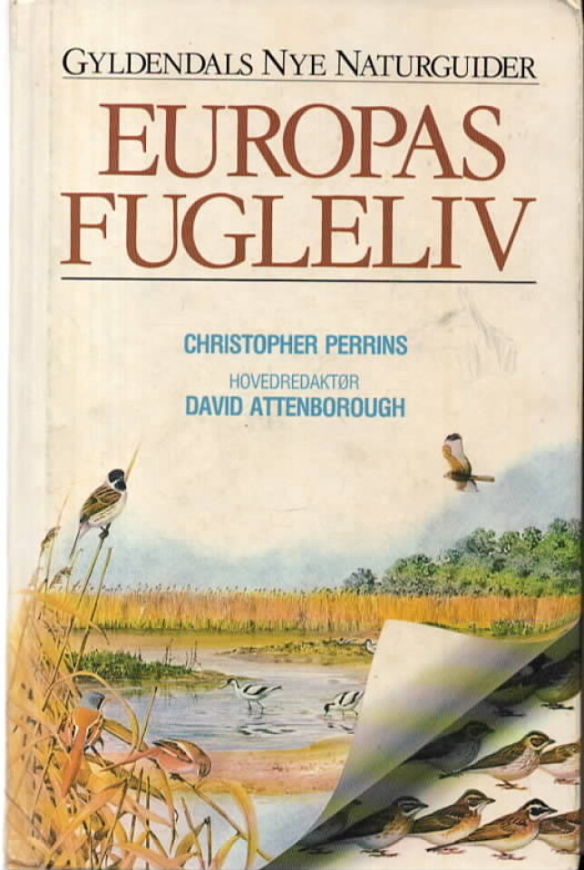 Europas fugleliv