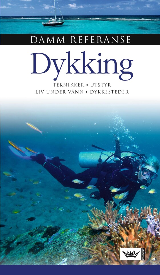 Dykking