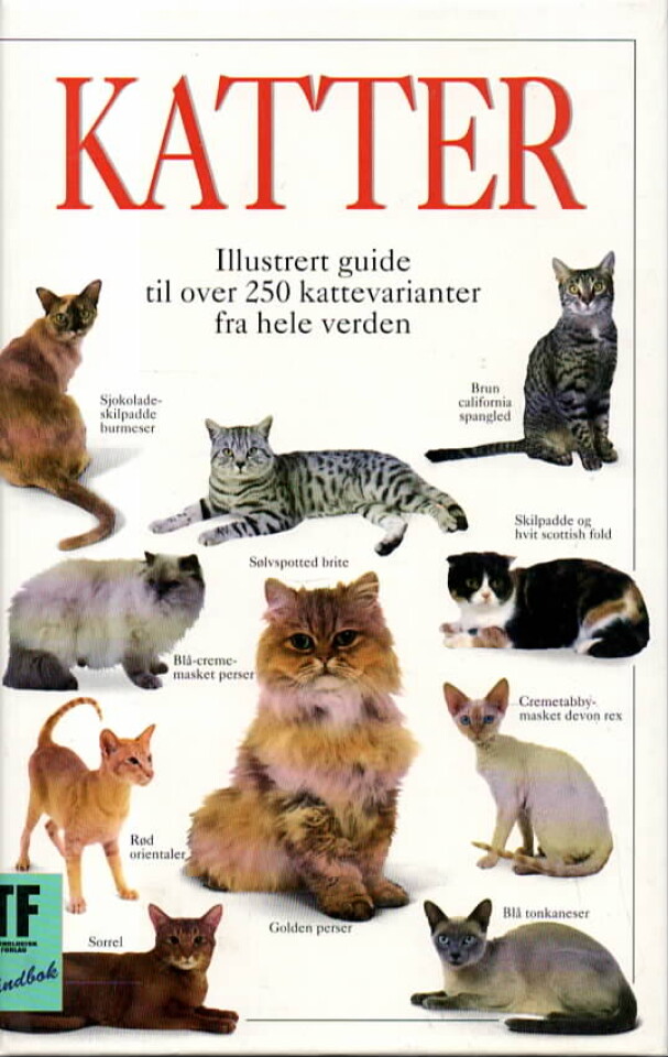Katter – Illustrert guide til over 250 kattervarianter fra hele verden
