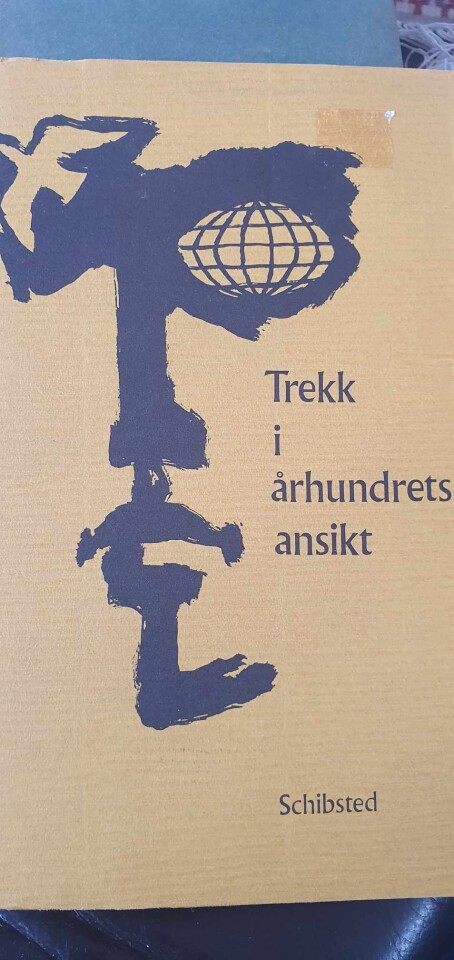 Trekk i århundrets ansikt