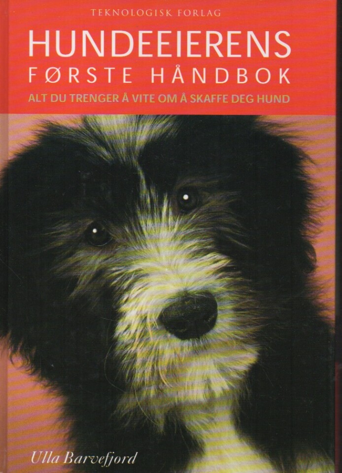 Hundeeierens første håndbok – Alt du trenger å vite om å skaffe deg hund