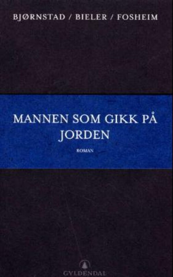 Mannen som gikk på jorden