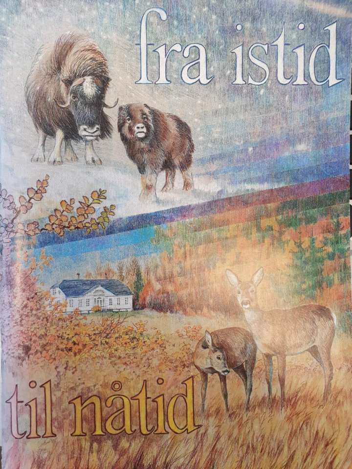 Sørlandet fra istid til nåtid - utstillingsoversikt
