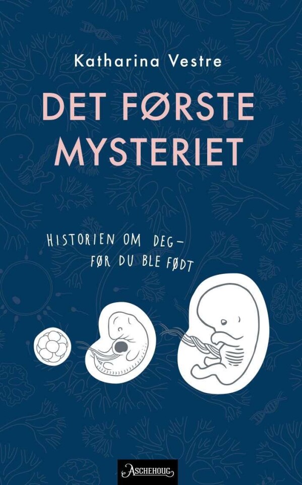 Det første mysteriet