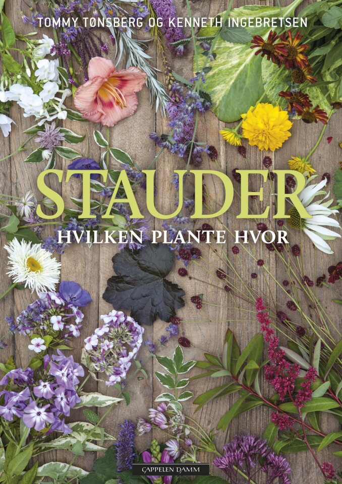 Stauder - hvilken plante hvor