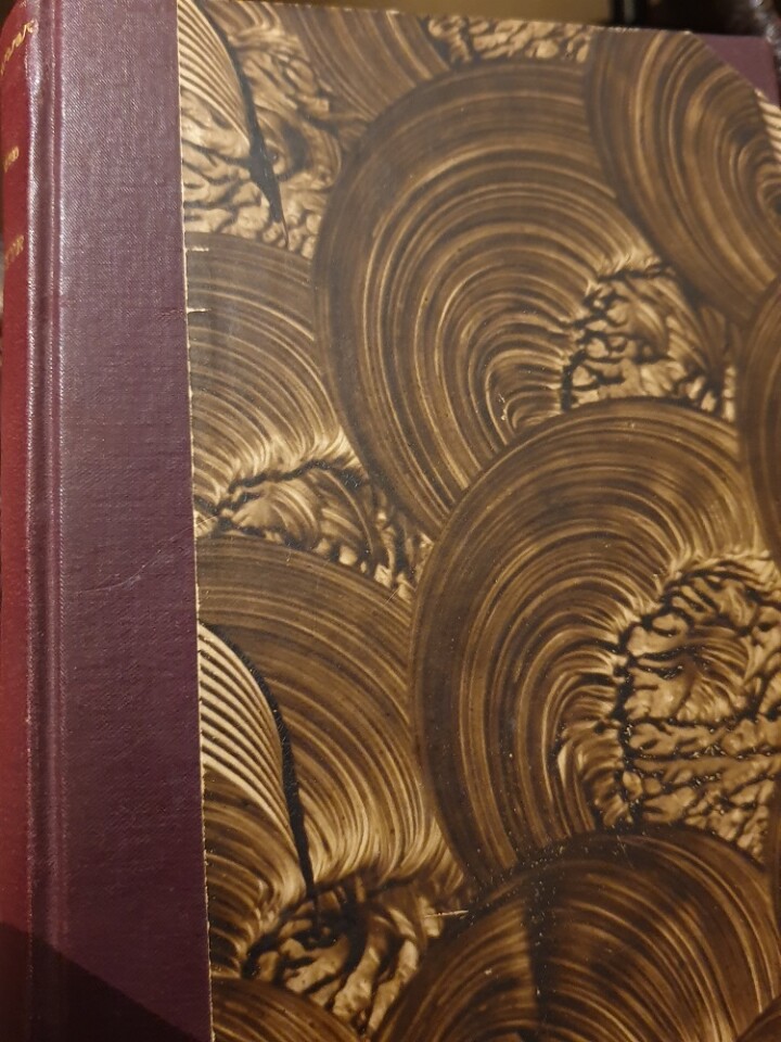 H.C. Andersen: Mit livs eventyr - fortsættelse (1855-1867)