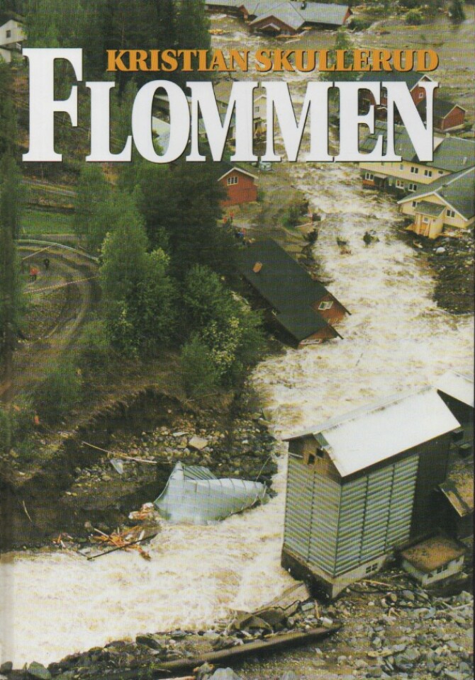 Flommen – Om storflommen 1995